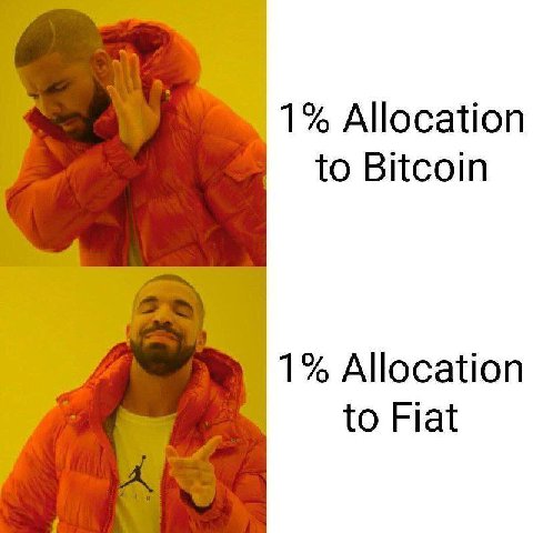 1% Allocation to Bitcoin 1% Allocation to Fiat