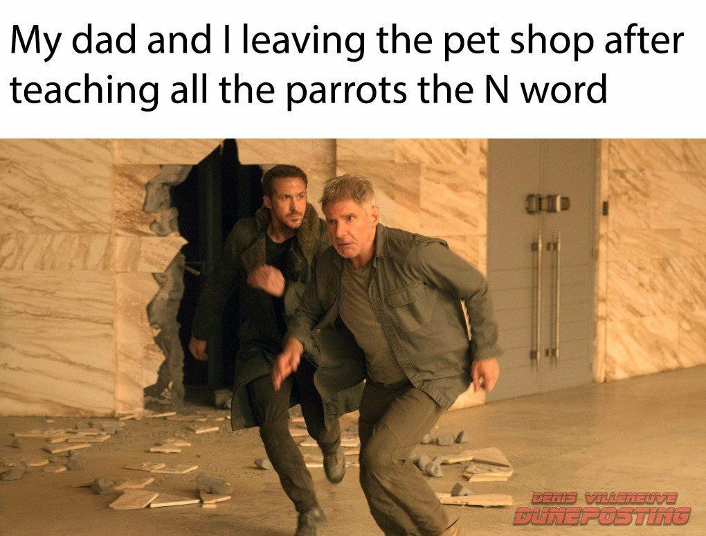 dad and leaving the pet shop after teaching all the parrots the word
