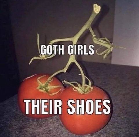 GOTH GIRLS THEIR SHOES