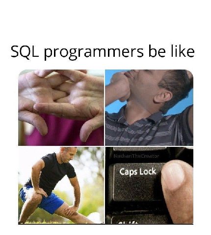 SQL programmers be like Caps Lock 4
