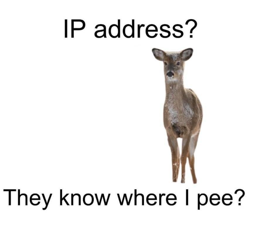 address? They Know where pee?