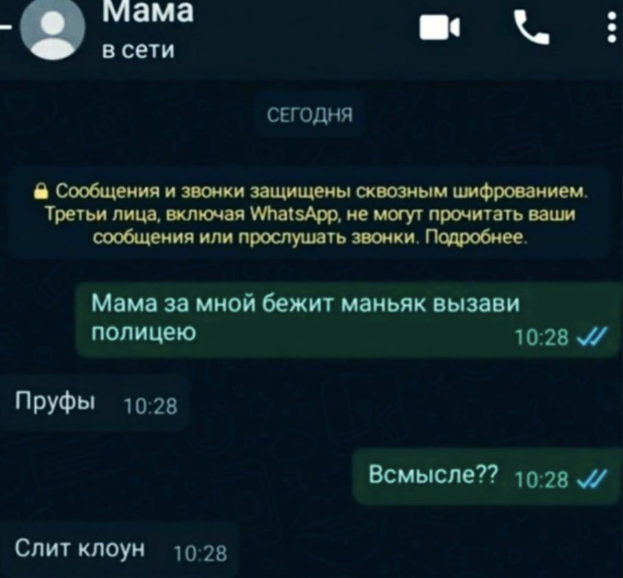 в сети СЕГОДНЯ Сообщения и звонки защищены сквозным шифрованием. Третьи лица, включая WhatsApp, не могут прочитать ваши сообщения или прослушать звонки. Подробнее. Мама за мной бежит маньяк вызави пол