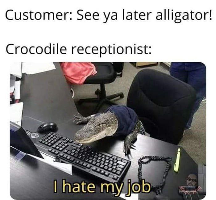 Customer: See later alligator! Crocodile receptionist: 3