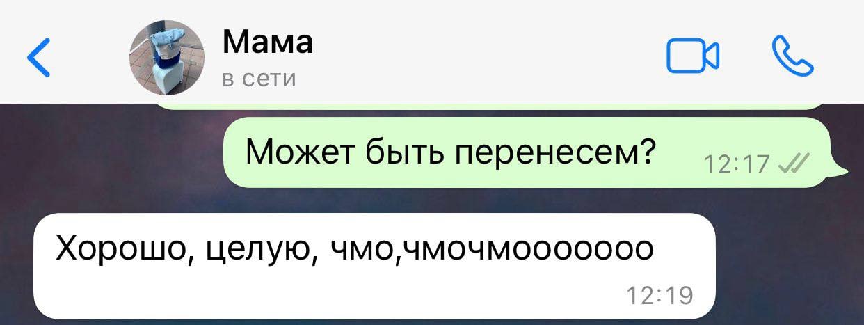 Мама в сети Может быть перенесем? Хорошо, целую, чмо, 1219