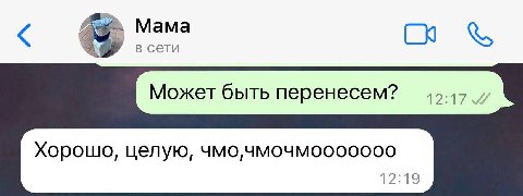 Мама в сети Может быть перенесем? Хорошо, целую, чмо, 1219