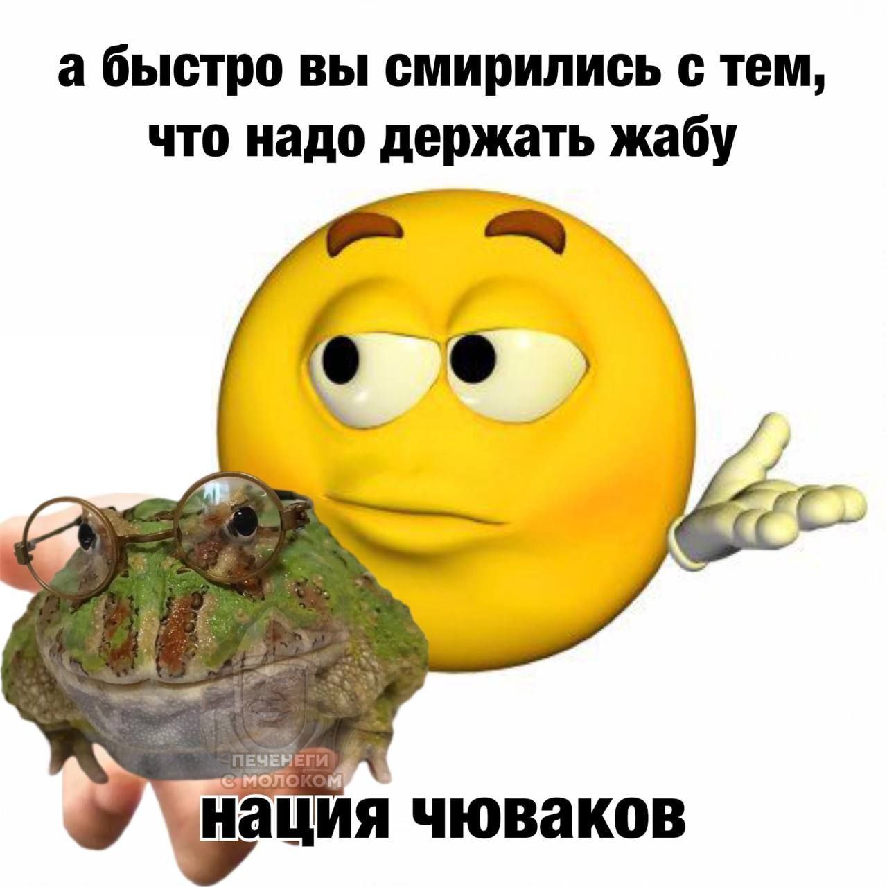 а быстро вы смирились с тем, что надо держать жабу и нация чюваков