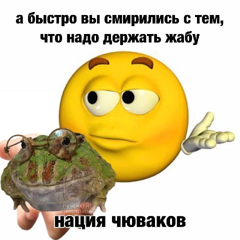 а быстро вы смирились с тем, что надо держать жабу и нация чюваков