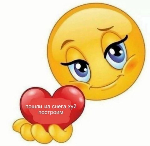 пошли из снега хуй построим
