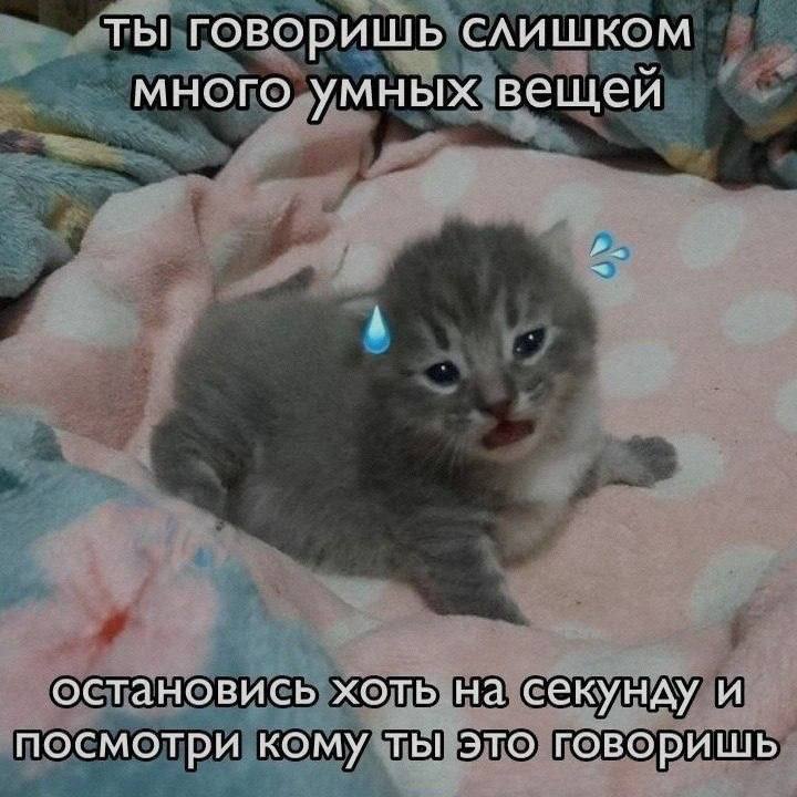 ты говоришь слишком много умных вещей остановись хоть на секунду и посмотри кому ты это говоришь