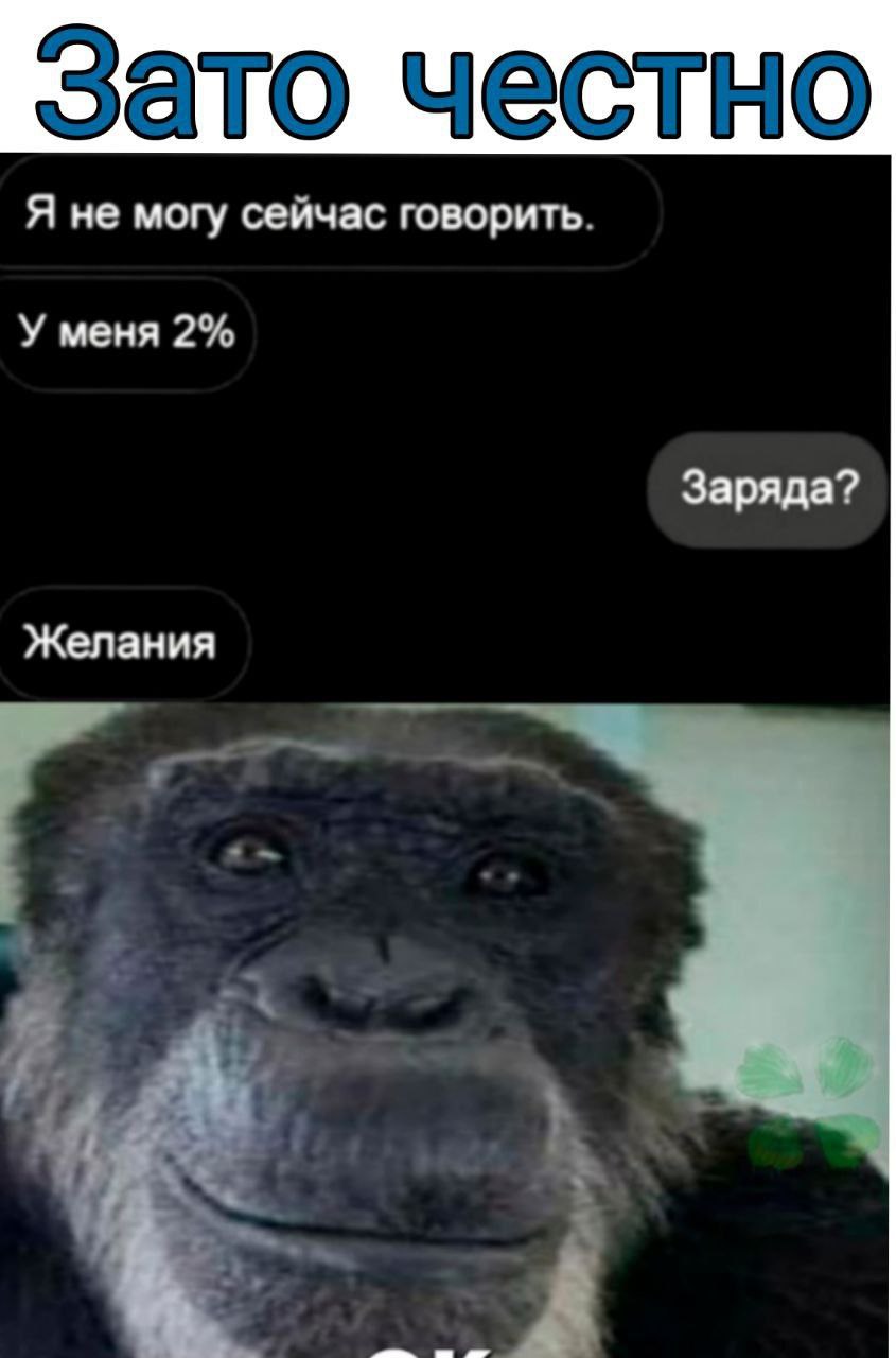Зато честно Я не могу сейчас говорить. У меня 2% Заряда? Желания
