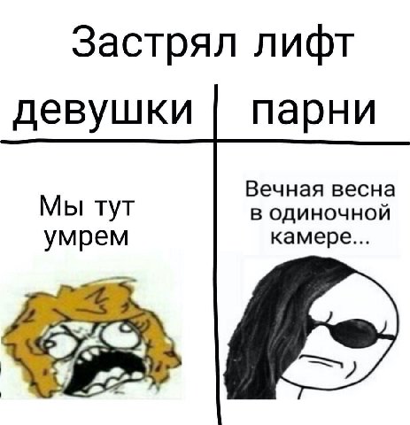 Застрял лифт девушки парни Вечная весна Мы тут В ОДИНОЧНОЙ камере... умрем
