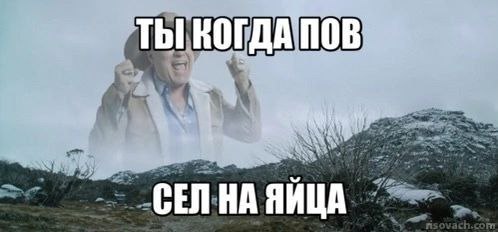 ТЫ КОГДА ПОВ СЕЛ НА ЯИЦА