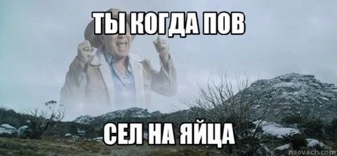 ТЫ КОГДА ПОВ СЕЛ НА ЯИЦА