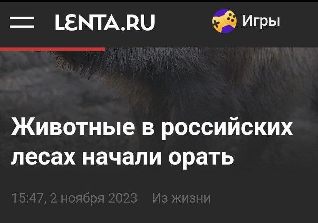 LENTA.RU Игры Животные в российских лесах начали орать