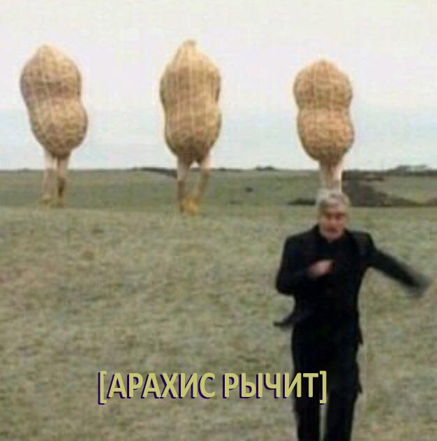 >> [АРАХИС ВЫЧИТ]