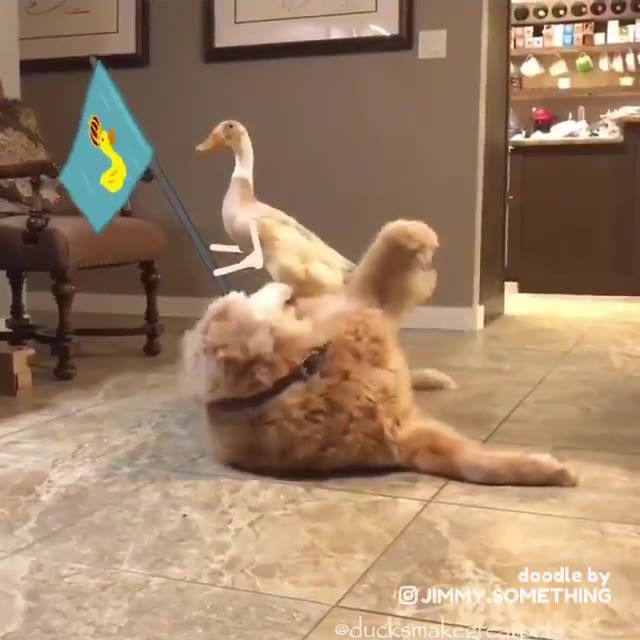 a А a к