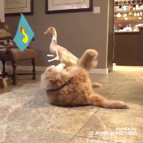 a А a к