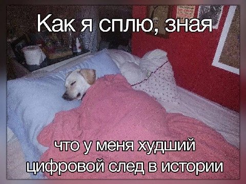 Как я сплю, зная что у меня худший цифровой след в истории