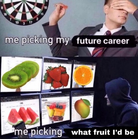 me picking MY future career А me picking what fruit be