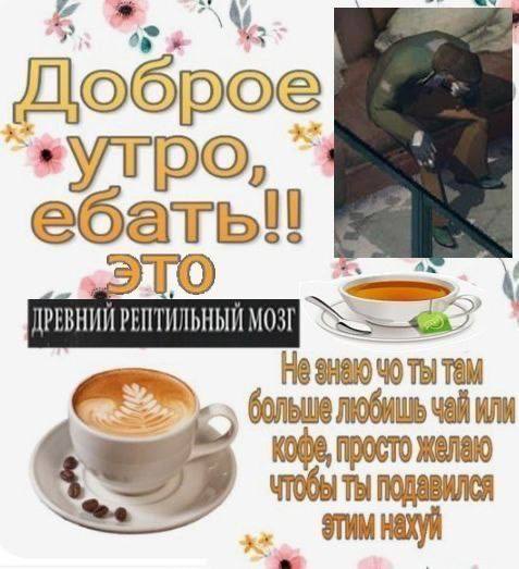 Доброе ебать! ДРЕВ Не знаю 40 ты там больше любишь чай или просто желаю чтобы Ты подавился