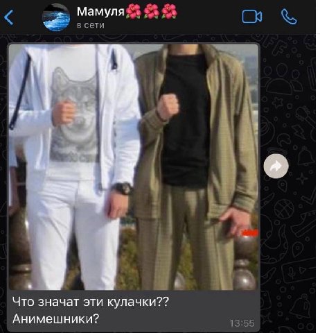Мамуля 2% a в сети Что значат эти кулачки?? Анимешники? 13:55