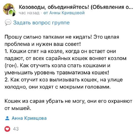 Козоводы, объединяйтесь! (Объявления о... час назад от Анны Кривцовой Задать вопрос группе Прошу сильно тапками не кидать! Это целая проблема и нужен ваш совет! 1. Кошки спят на козле, когда он встает