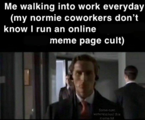 Me walking into work everyday (my normie coworkers don't know гип online meme page cult)