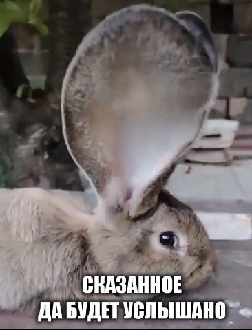 СКАЗАННОЕ