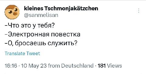 kleines Tschmonjakatzchen @sanmelisan -Что это у тебя? -Электронная повестка -О, бросаешь служить? Translate Tweet 16:16 10 May 23 from Deutschland 181 Views