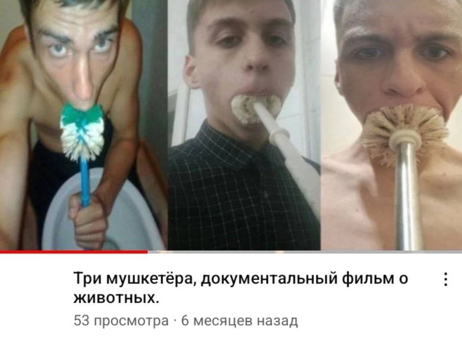 Три мушкетёра, документальный фильм о Животных. 53 просмотра 6 месяцев назад