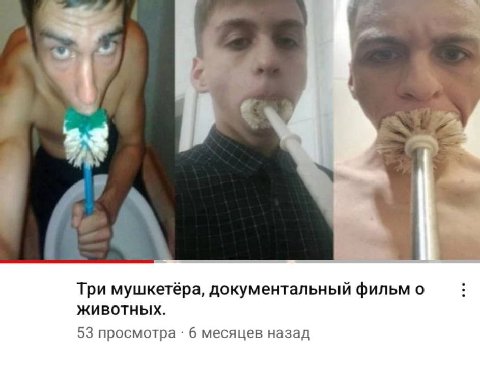 Три мушкетёра, документальный фильм о Животных. 53 просмотра 6 месяцев назад