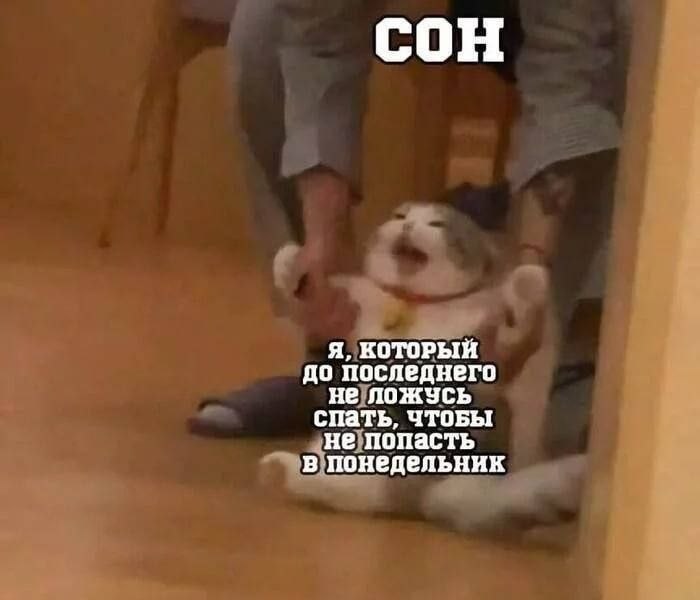 A, КОТОРЫЙ до последнего не ложусь спать, UTOBbI не попасть в понедельник