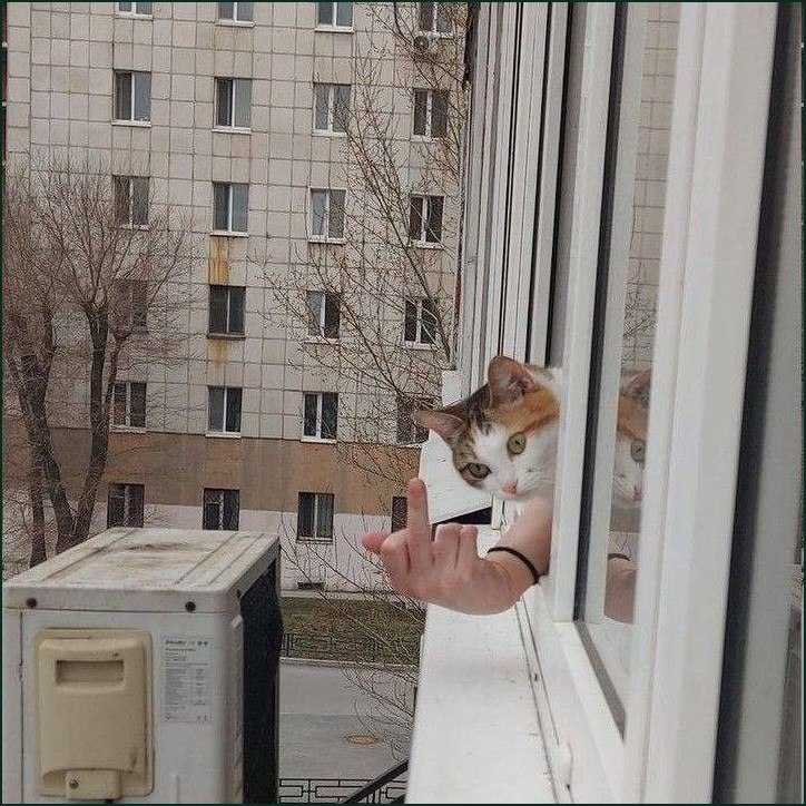 и i i if a i a i i i i Я i ON