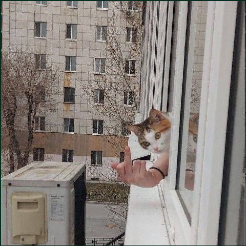 и i i if a i a i i i i Я i ON