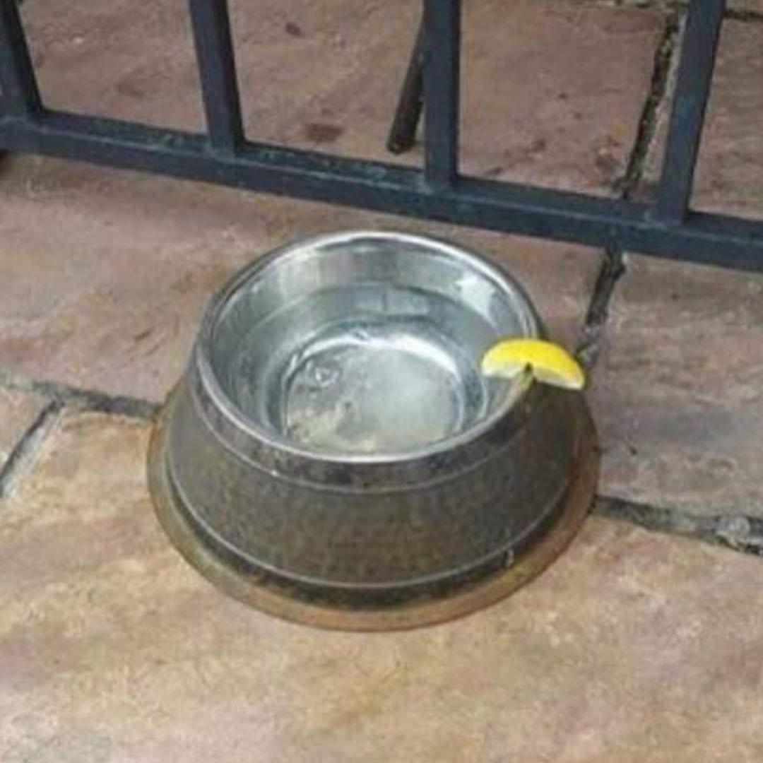 228 4