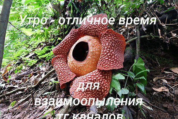a wee. at. А Я «7 ное В отли! время #5. 2 4 74. a As feo 417 or 12 one 4 ane A Nak „#7 пор