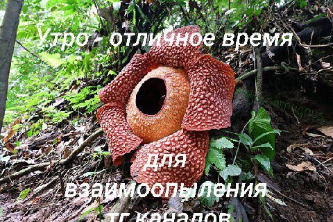 a wee. at. А Я «7 ное В отли! время #5. 2 4 74. a As feo 417 or 12 one 4 ane A Nak „#7 пор