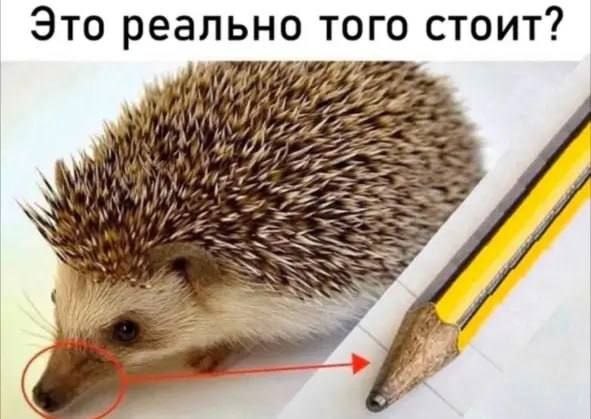 Это реально того стоит: 74 Unt (hes 2 4 у. у A 4 7 я