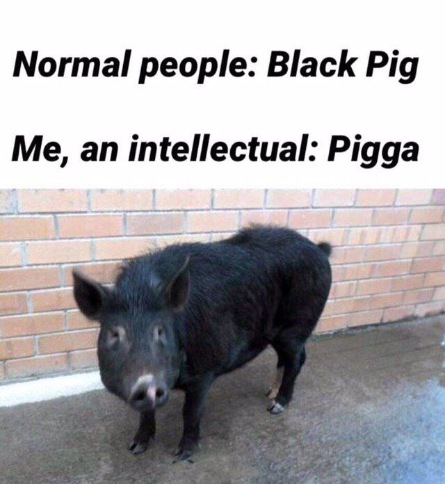 Normal people: Black Pig Me, an intellectual: Pigga