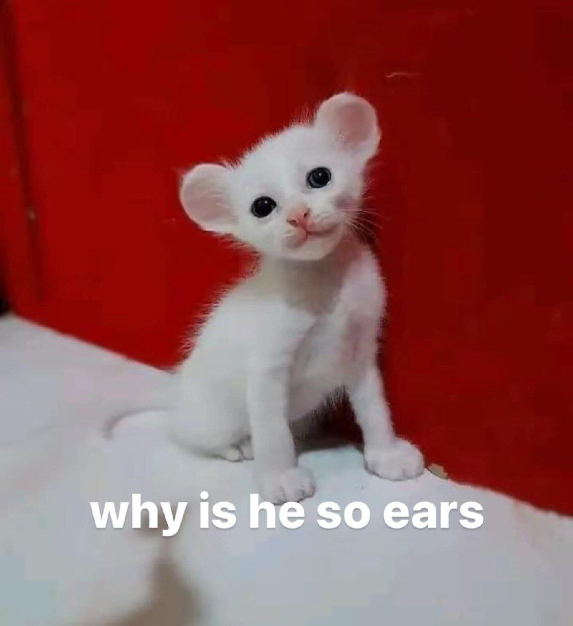 why is Не so ears