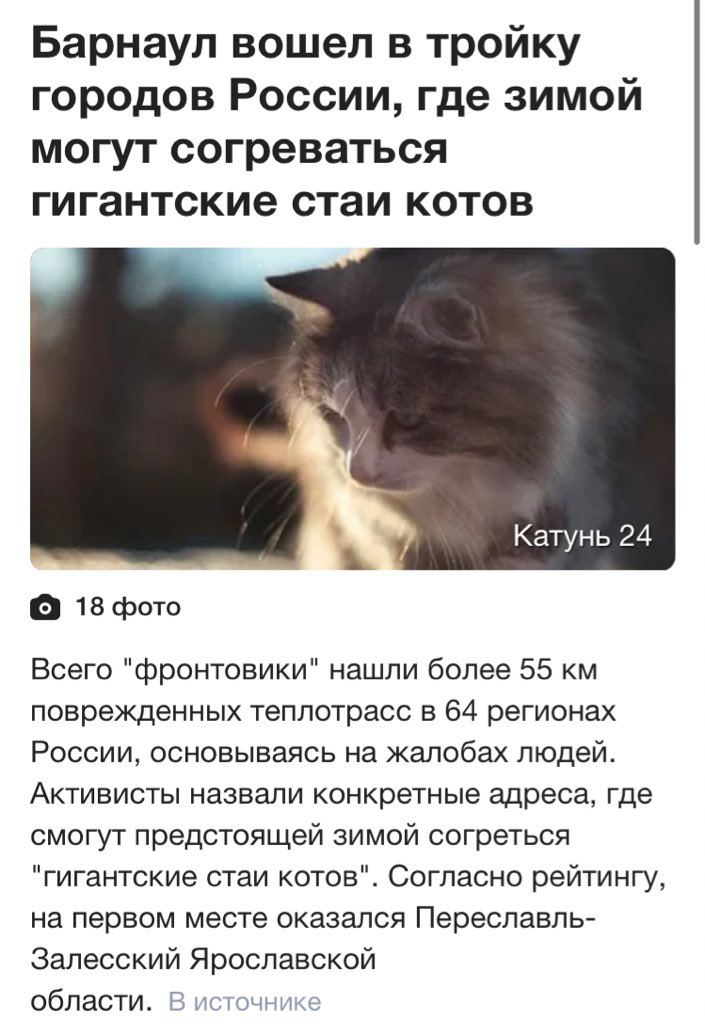 Барнаул вошел в тройку городов России, где зимой могут согреваться гигантские стаи котов Катунь 24 С 18 фото Всего "фронтовики" нашли более 55 поврежденных теплотрасс в 64 регионах России, основываясь
