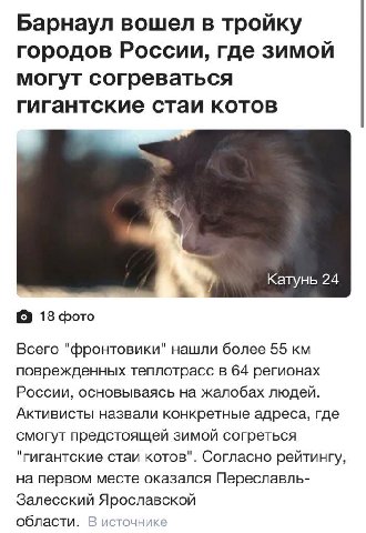 Барнаул вошел в тройку городов России, где зимой могут согреваться гигантские стаи котов Катунь 24 С 18 фото Всего "фронтовики" нашли более 55 поврежденных теплотрасс в 64 регионах России, основываясь
