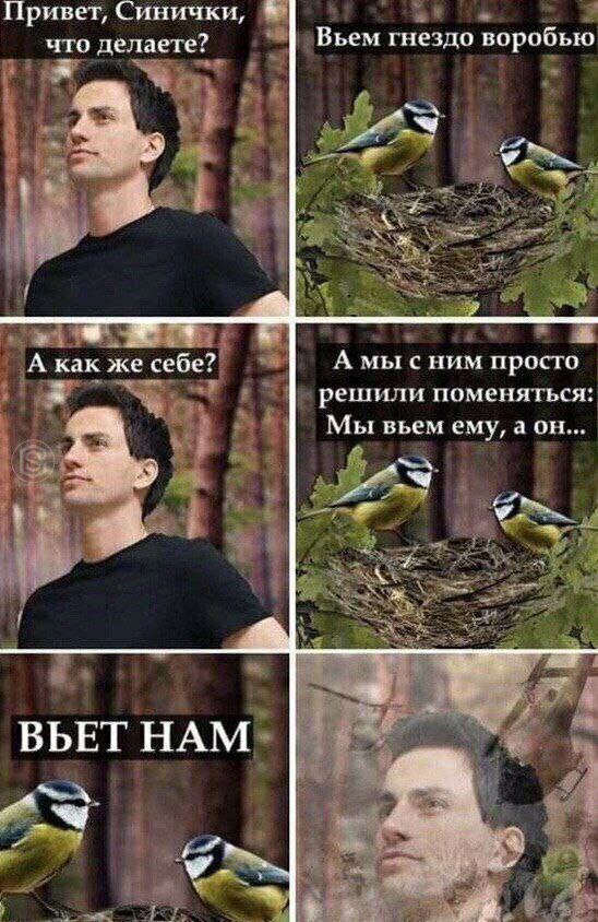 Привет, Синички, что делаете? Вьем гнездо воробью А как же себе? А мы сним просто решили поменяться: Мы вьем ему, 4 ВЬЕТ НАМ