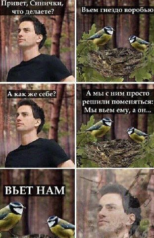 Привет, Синички, что делаете? Вьем гнездо воробью А как же себе? А мы сним просто решили поменяться: Мы вьем ему, 4 ВЬЕТ НАМ
