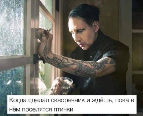 у. Когда сделал скворечник и ждёшь, пока в нём поселятся птички