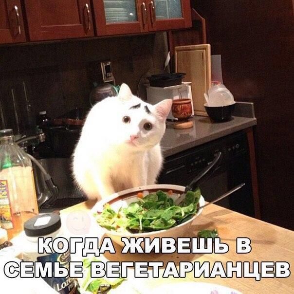 ИВЕШ СЕМБЕ