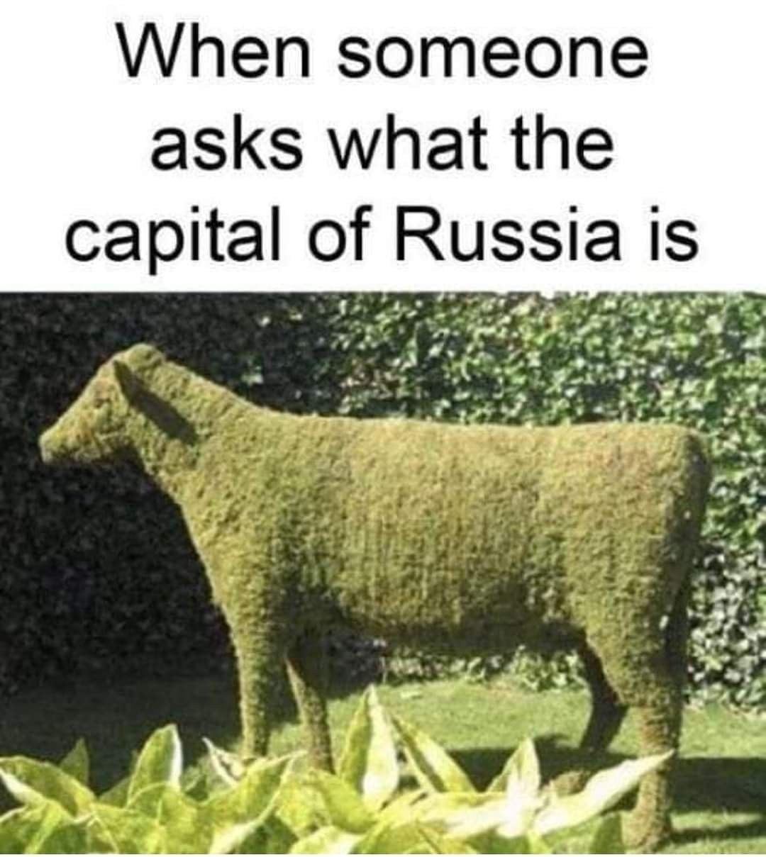 When someone asks what the capital of Russia Is res