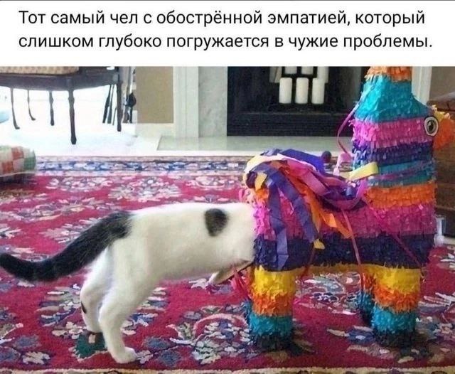 Тот самый чел с обострённой эмпатией, который слишком глубоко погружается в чужие проблемы. a 1 of A