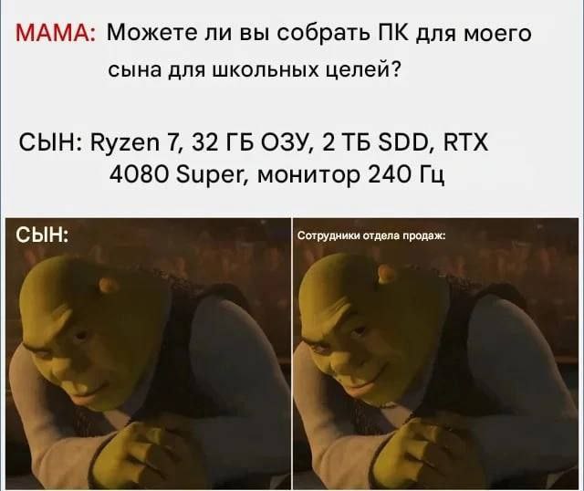 МАМА: Можете ли вы собрать для моего сына для школьных целей? СЫН: Ryzen 7, 32 ОЗУ, 2 SDD, RTX 4080 Super, монитор 240 СЫН: Сотрудники отдела продаж: