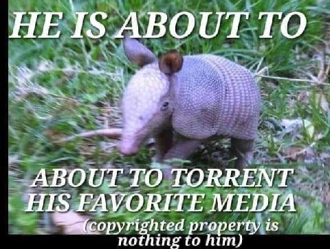НЕ 15 ABOUT ТО ABOUT TO TORRENT HIS FAVORITE MEDIA nothing to him) hted property is